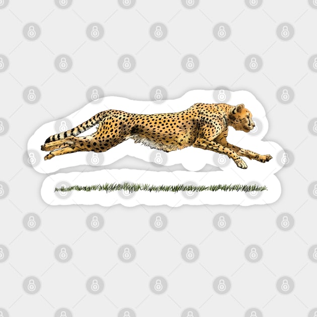 Leopard Sticker by sibosssr